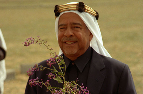 Amir Sh IsaSml.jpg